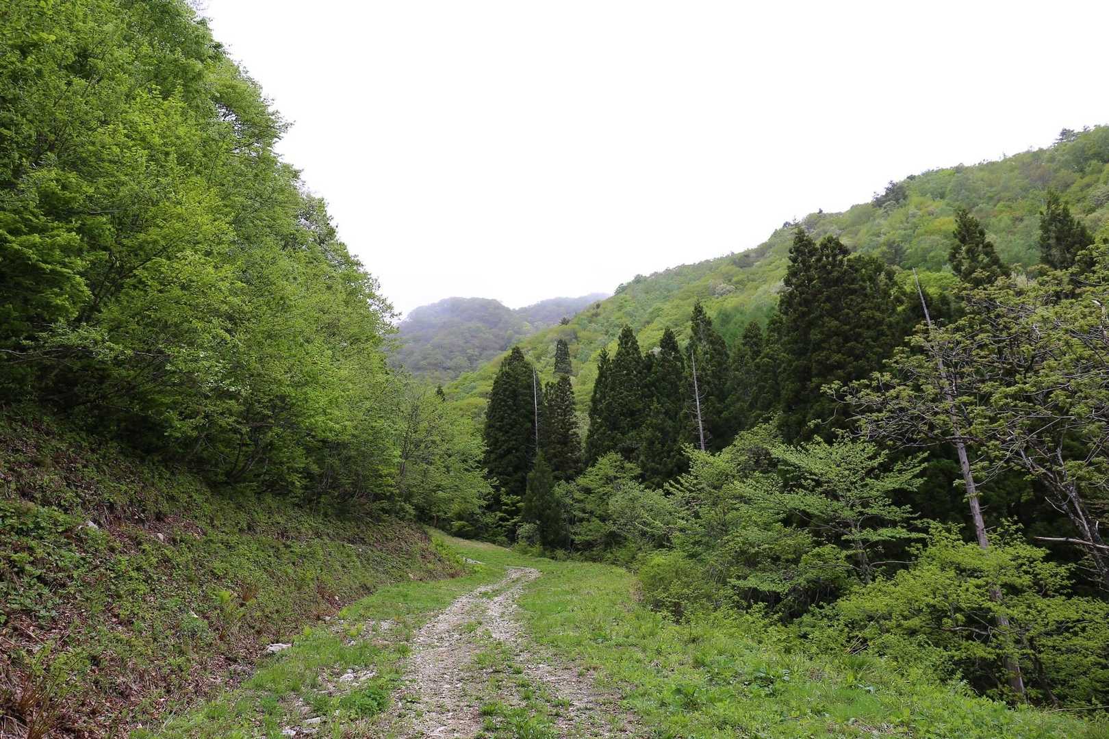 件のコース🦴
当時はミルキーシュプールという名前だったが、現在はテクニカルコースというらしい。
斜度は20〜25度。

何かに足取られちゃって、スキーごと足が横向いたのに体はまっすぐ降ってって…

かるっちい「ポキッ🎵」って音がしたんだ🦴

固定式のビンディングはダメだね❌


起き上がろうとして、足首から下がプランってなる感覚、もう2度とやだねー🙅‍♀️