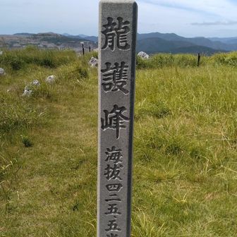 龍護峰山頂