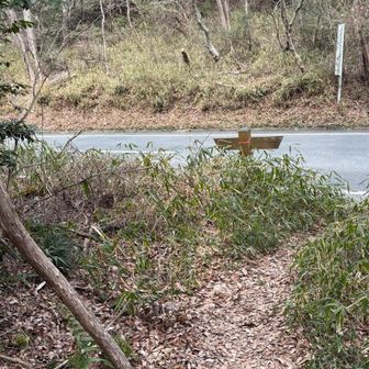 ついに林道体験終わって、
駅🚉までロード歩き🚶