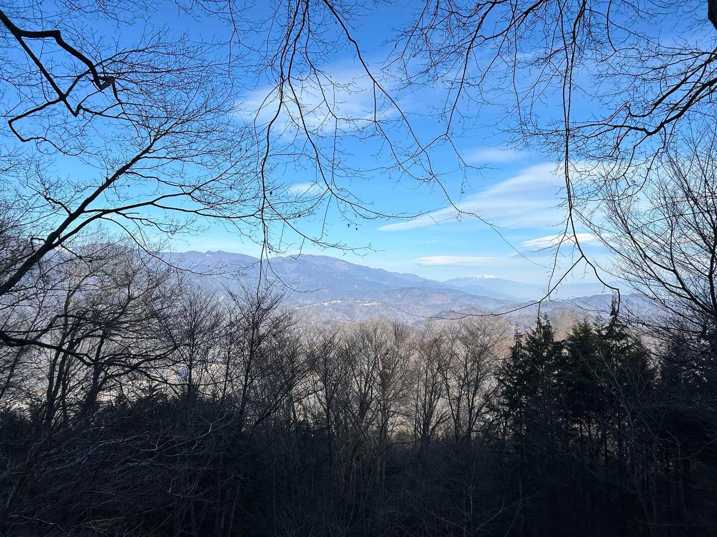 👀‼️🏔️💕　木立の隙間です。