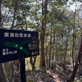 ちょっと寄り道🐾