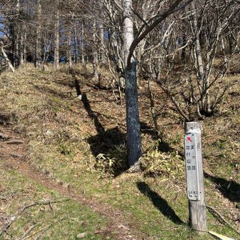 🅿️すぐ前ここからスタートです
まだあまり車走っていなくて
ビーナスライン気持ちよく🚗

三峰山🅿️スタートも考えたけど
もう少し距離と累積標高増えるので
今日はこのくらいでよしで