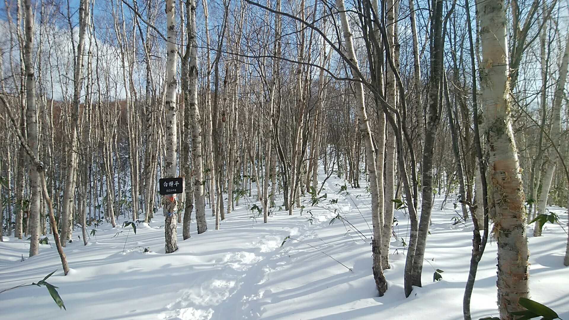 北広山の写真