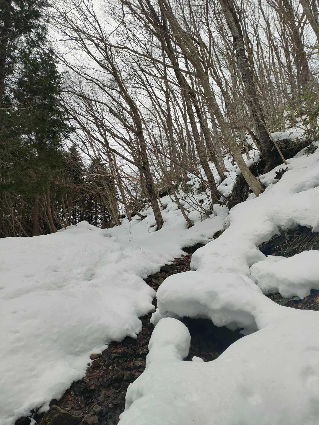 三ヶ上登山口-役行者石像 往復コースの写真
