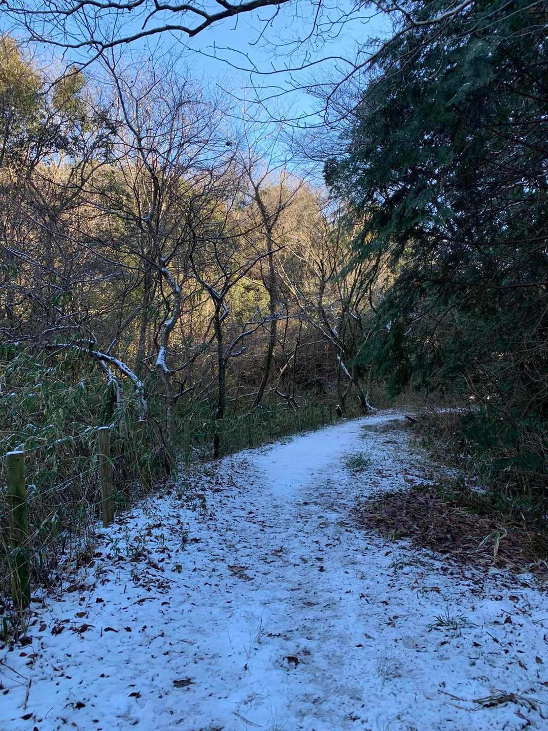 ここは雪があるよ❄️