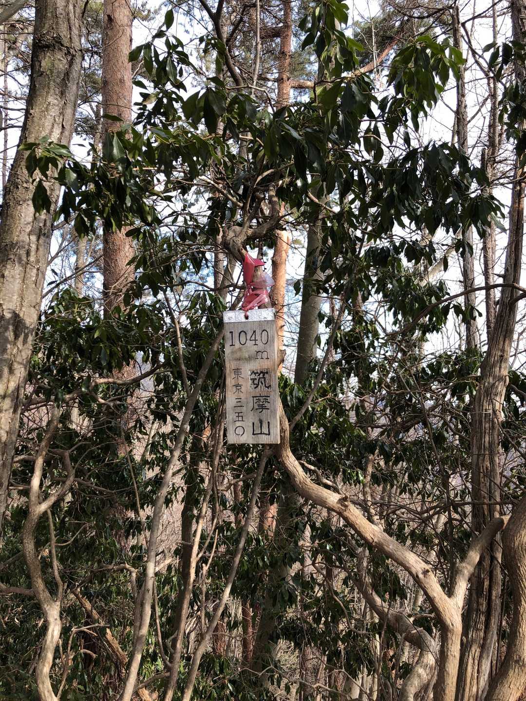 可愛い頂上標識