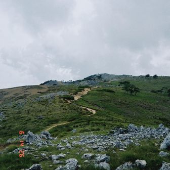 仲間と登る景色のいい山はいいものです。