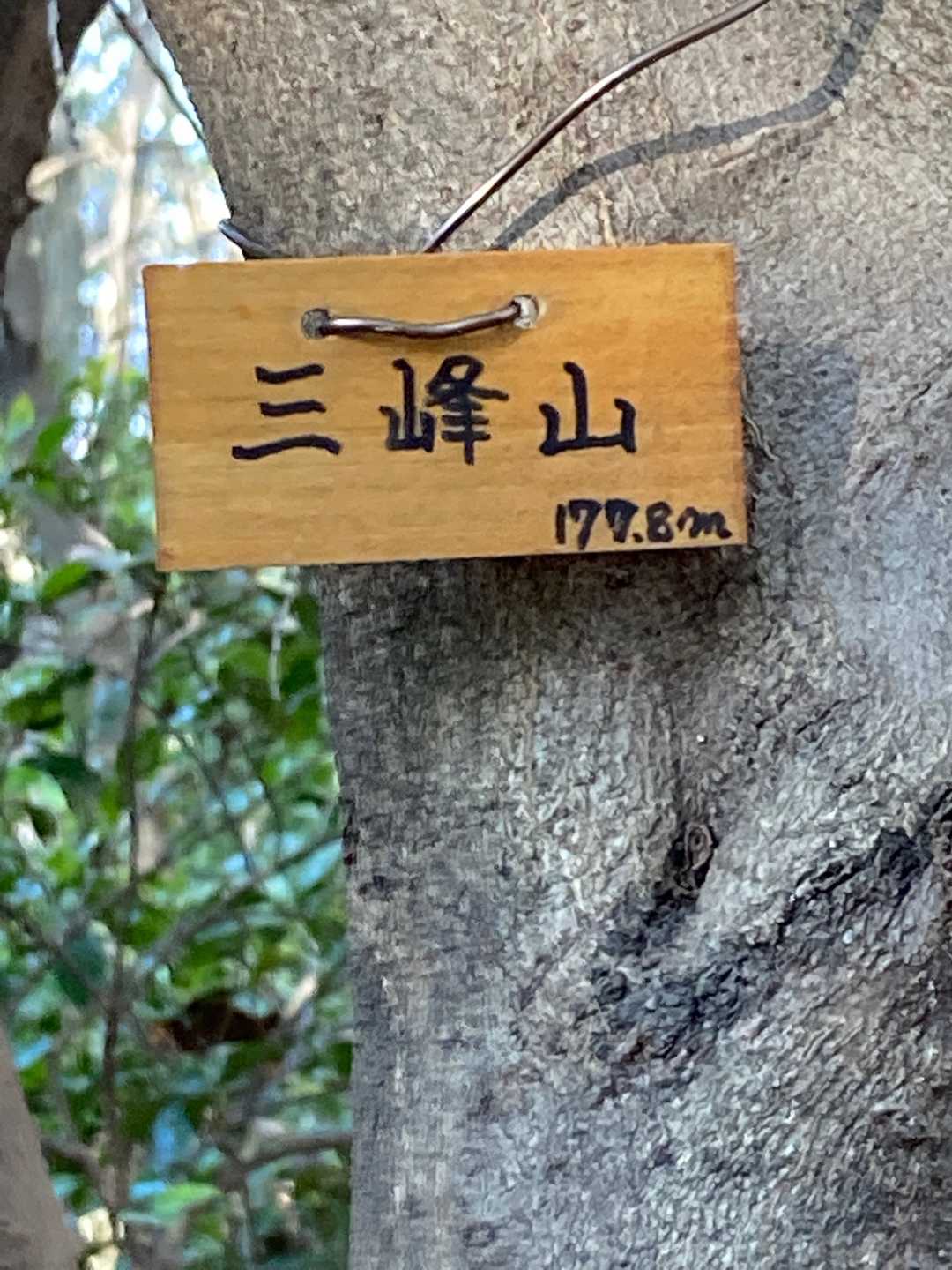 三森山頂上