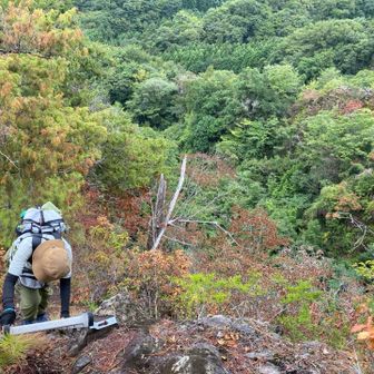 今度はちょい小さいハシゴをおりる