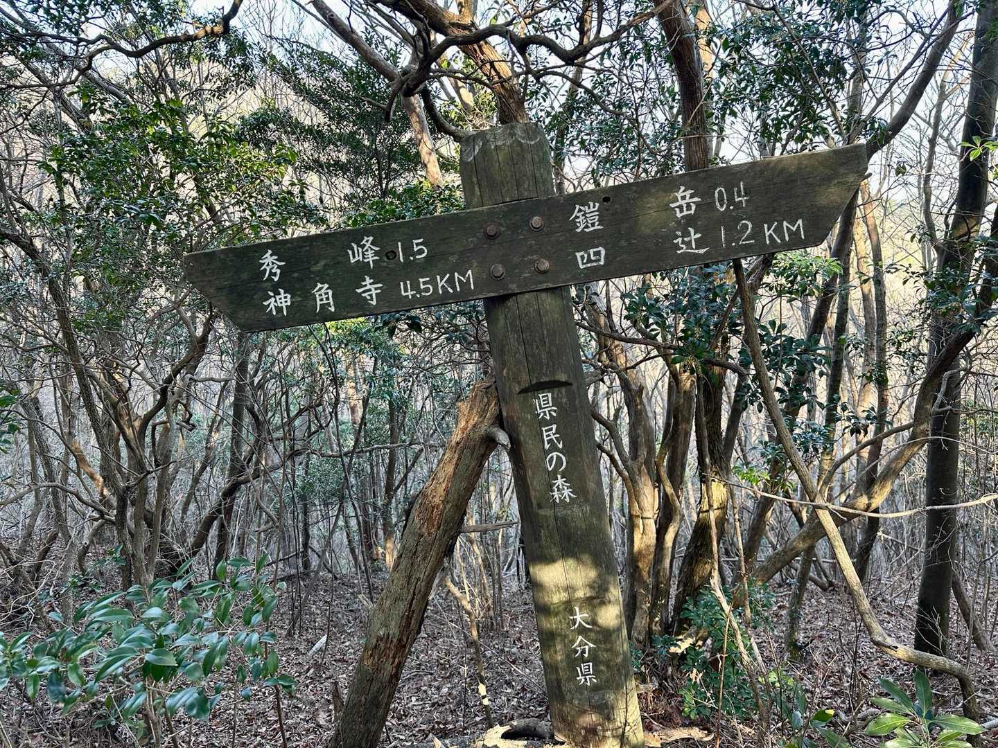 四辻峠-雨乞岳-烏帽子岳-鎧ヶ岳-日平山 周回コースの写真