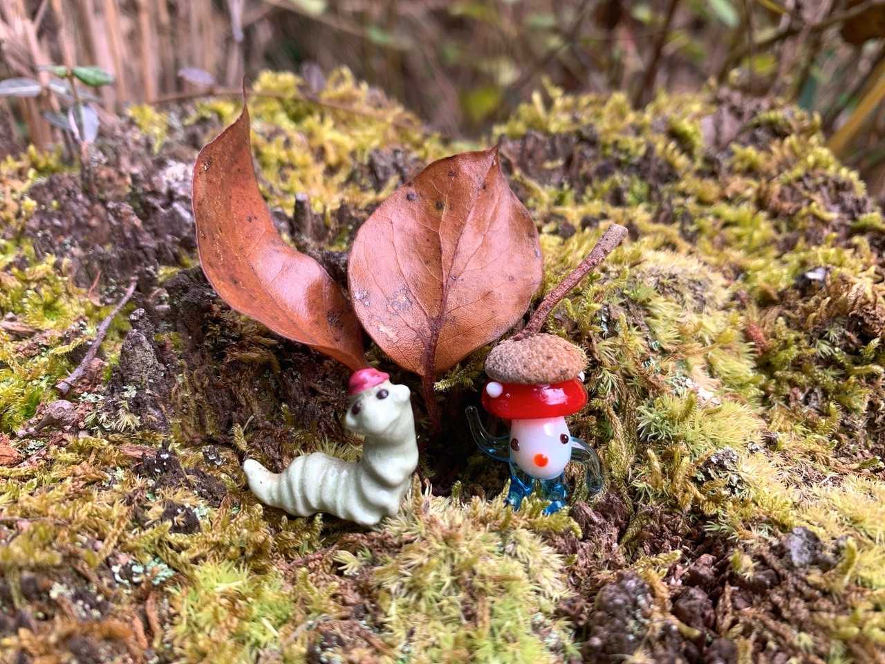 よりんごさんのお友達😍あまりいい苔はありませんでした😅🍄きのこちゃんはドングリの帽子をかぶっています💕