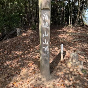 高城山山頂
一回舗装路降りてからの400mの登りはキツかった💦高城山はこんなずっと登りでキツい山だったんだね🥵