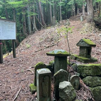 大子峠まで戻ってきました！！
ちょっと行ったところに、石仏やら石碑のようなものやらがいっぱい。
昔は集落があったようです。