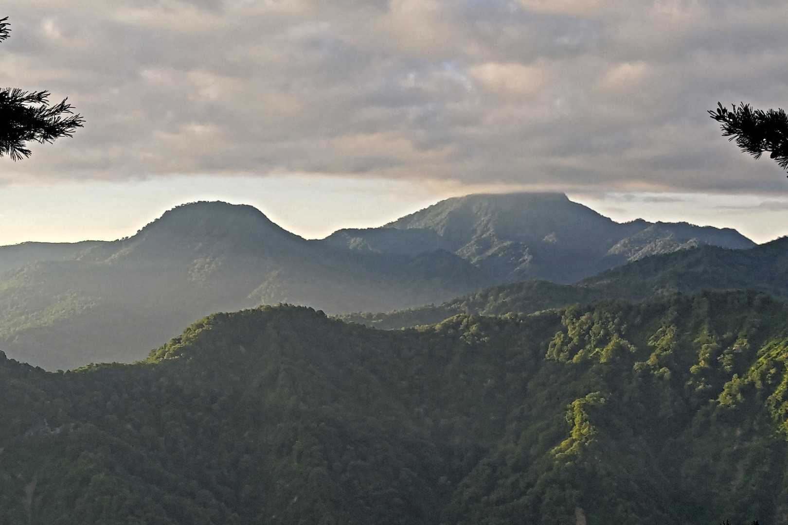 金山（金山登山口）の写真