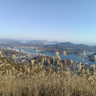 ススキがいい感じです。