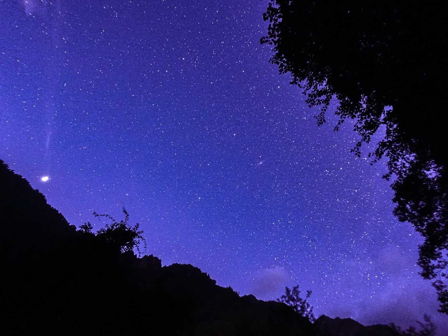森でヘッドライトを消せば満天のお星さまがお出迎え🌟