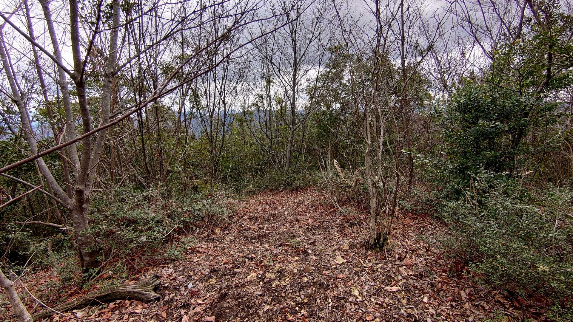 展望 わずかですが、山頂は広い 。
ここから、あの山この山 さんの北側へのルートは 、、(;꒪ꈊ꒪;)、。