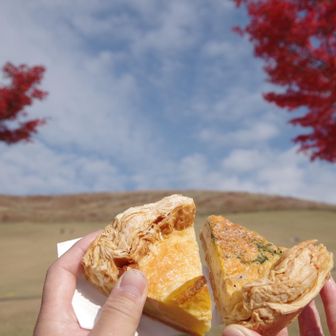 若草山・芳山・高円山 頂きまーす‼️
キッシュ、うまうま😋