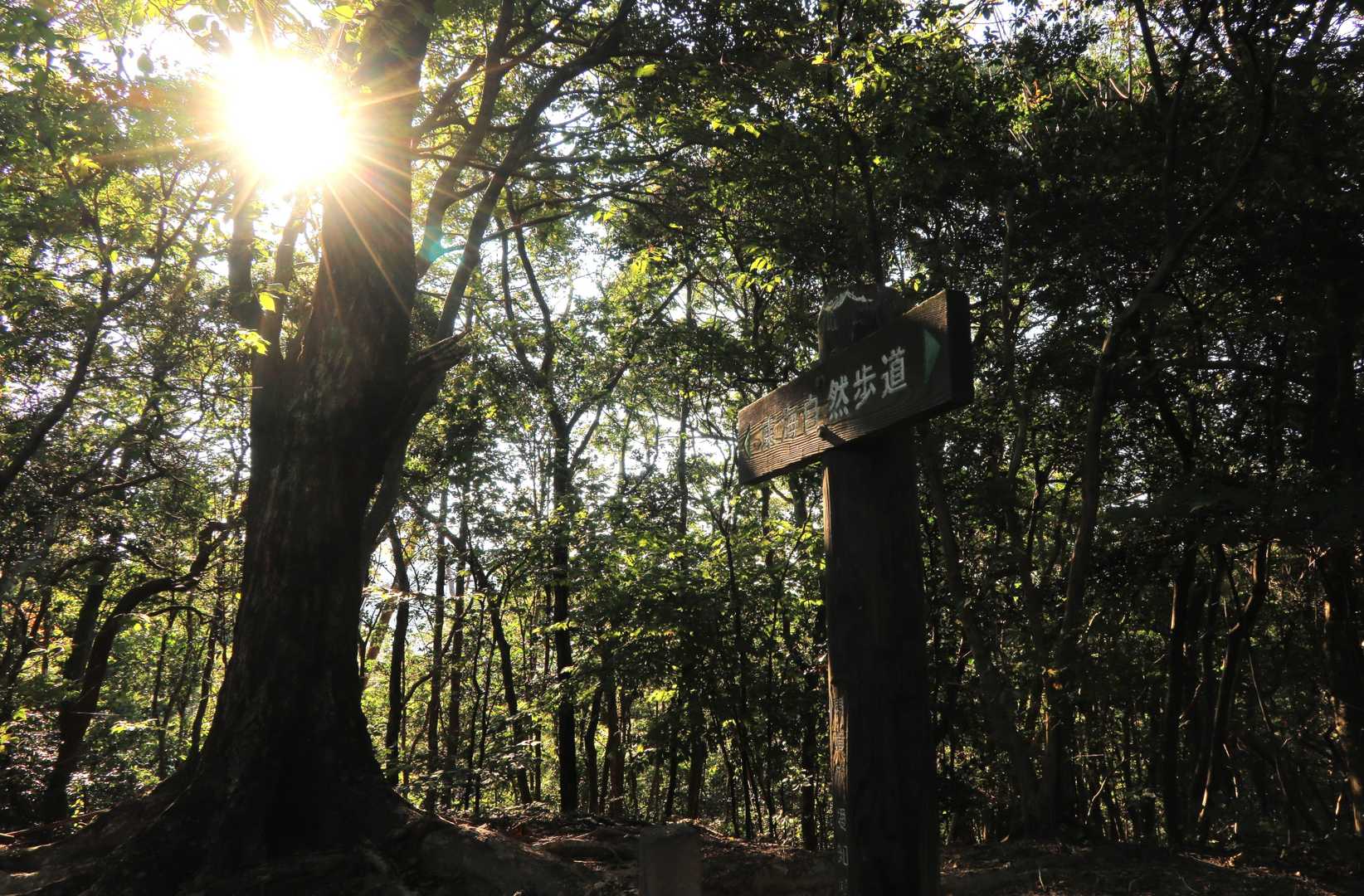 ま、のんびりいくさー。