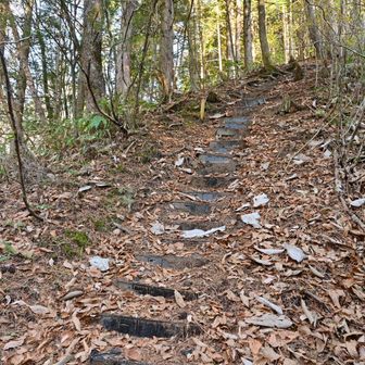 初っ端からエグい登りです