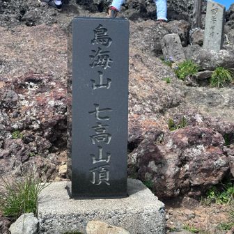 着いた