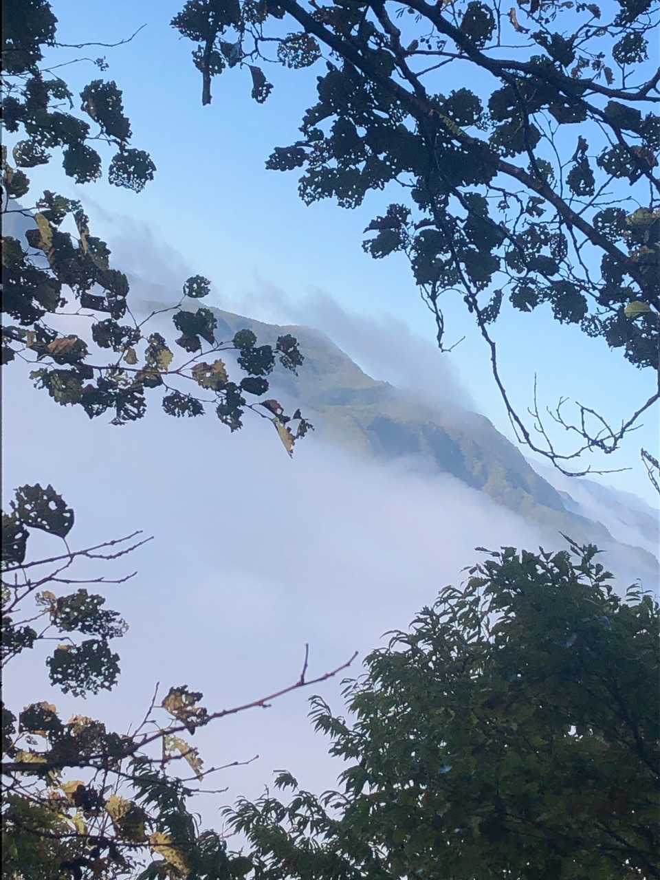 次に行く「大雨見山」
