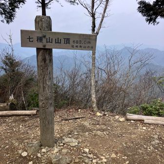 下の駐車場🅿️満車だったので賑わってるかと思いきや、貸し切りでした笑