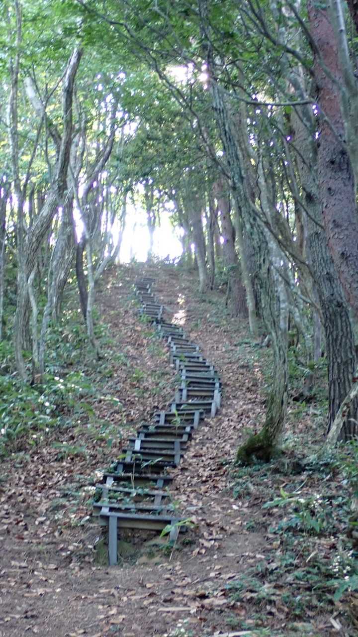 少し歩くとまた階段。
もうすぐ山頂っぽいね。