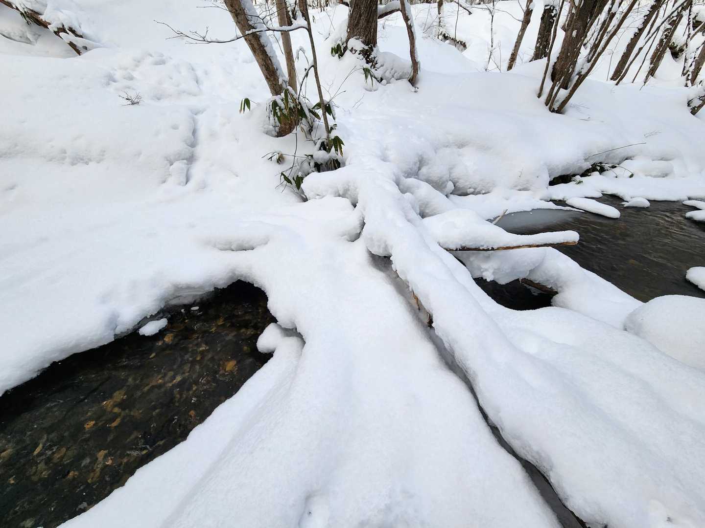渡れそうな箇所を発見！
ストックとスノーシューで乗っかっても壊れなさそうなことを確認しながら無事、徒渉。