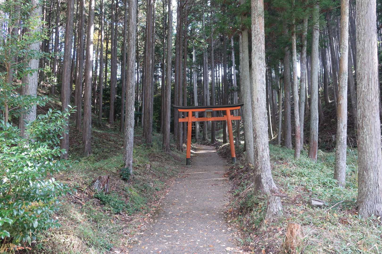 氷室神社にお参りしました。