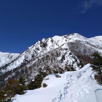 杣添尾根から見た横岳、堂々とした山容が超かっこいい〰️😍