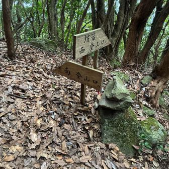 坊岩に寄って少し戻り、ここから南登山口コースへ戻ります。
コース綺麗、スズメバチの姿は無かった。