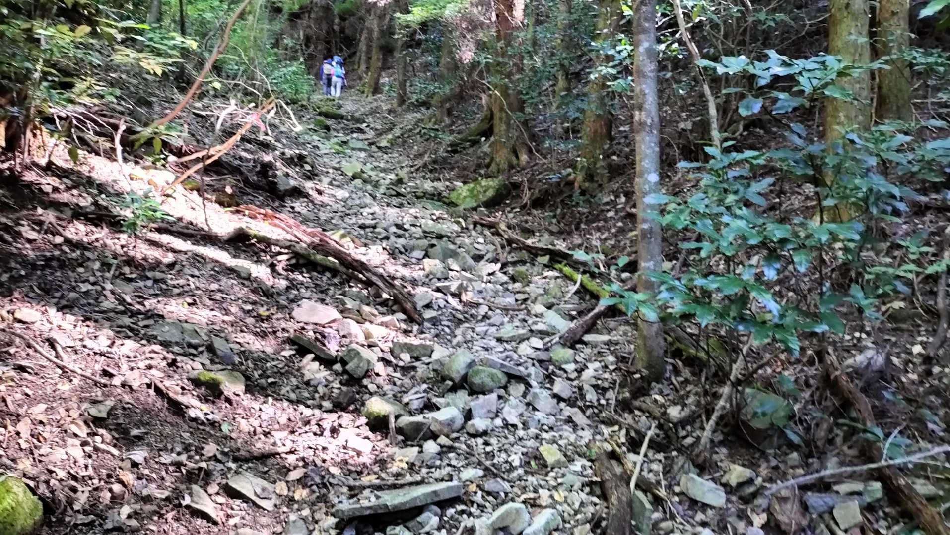 こんなガレ場を登ります😅💦