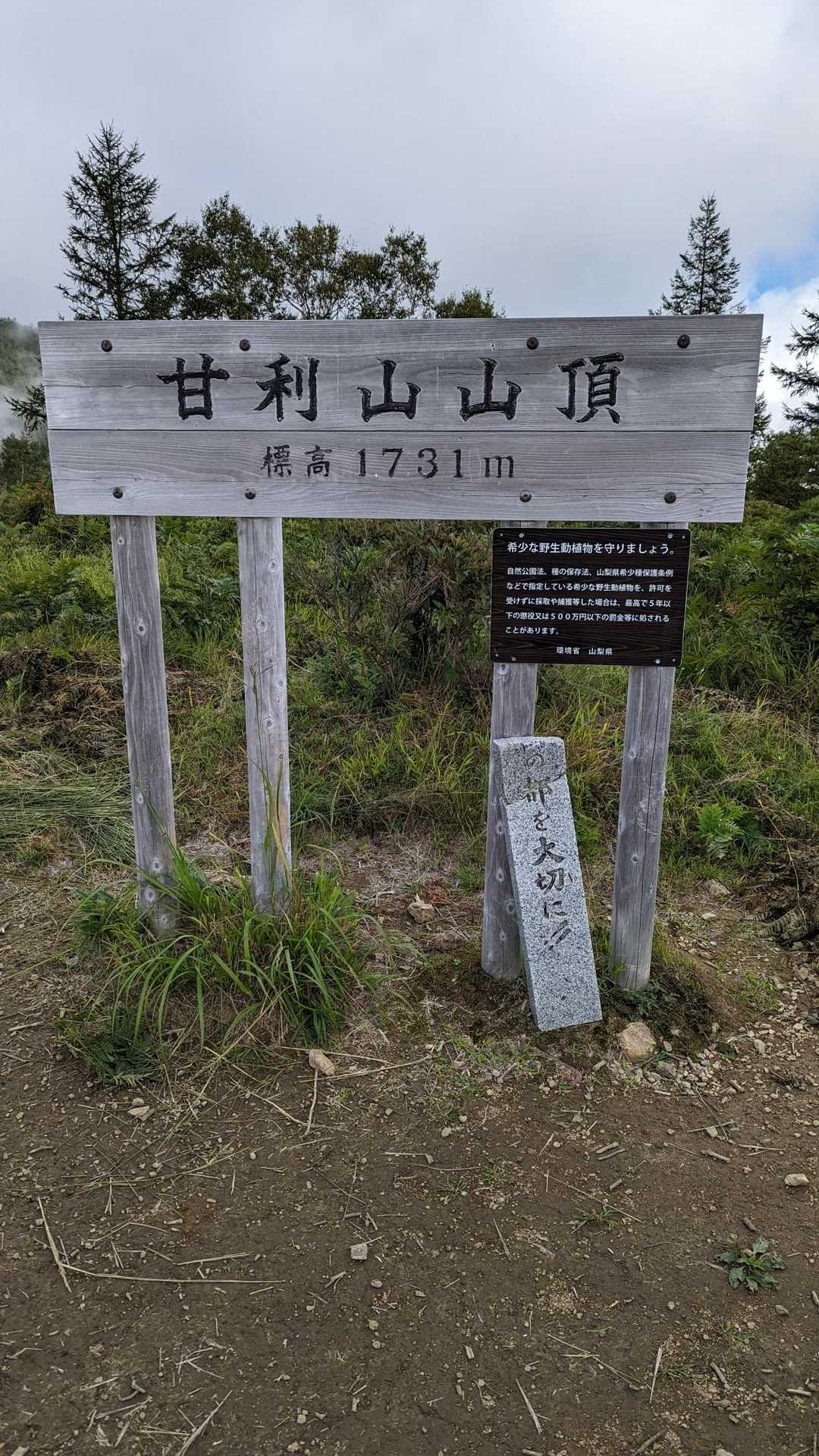 と、到着です。結構疲れましたよ。私的には十分ですけどね。