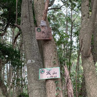 矢岳・城山 城山