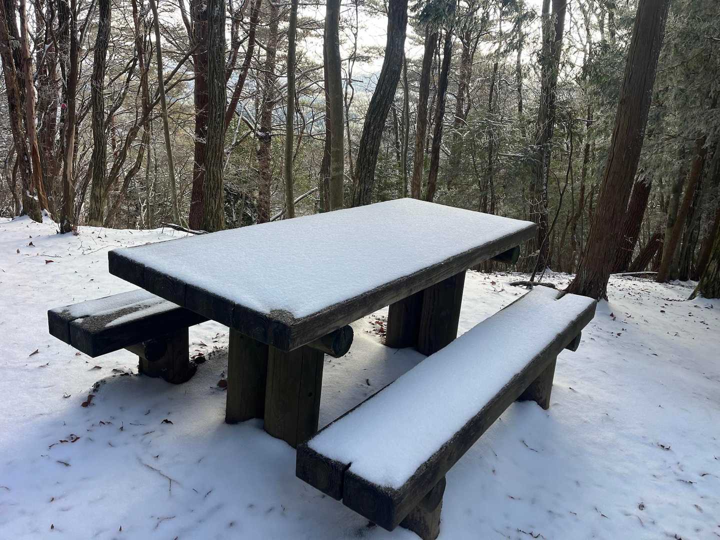 あれれ？前回より雪少ないかな？