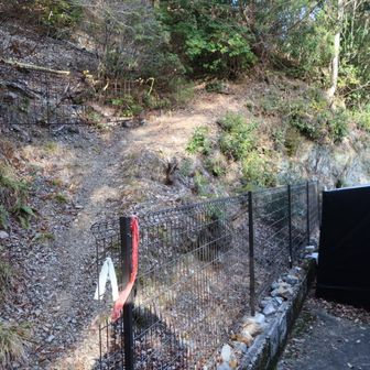 そしてここが登山口。駐車場の奥にありわかりにくくなっています