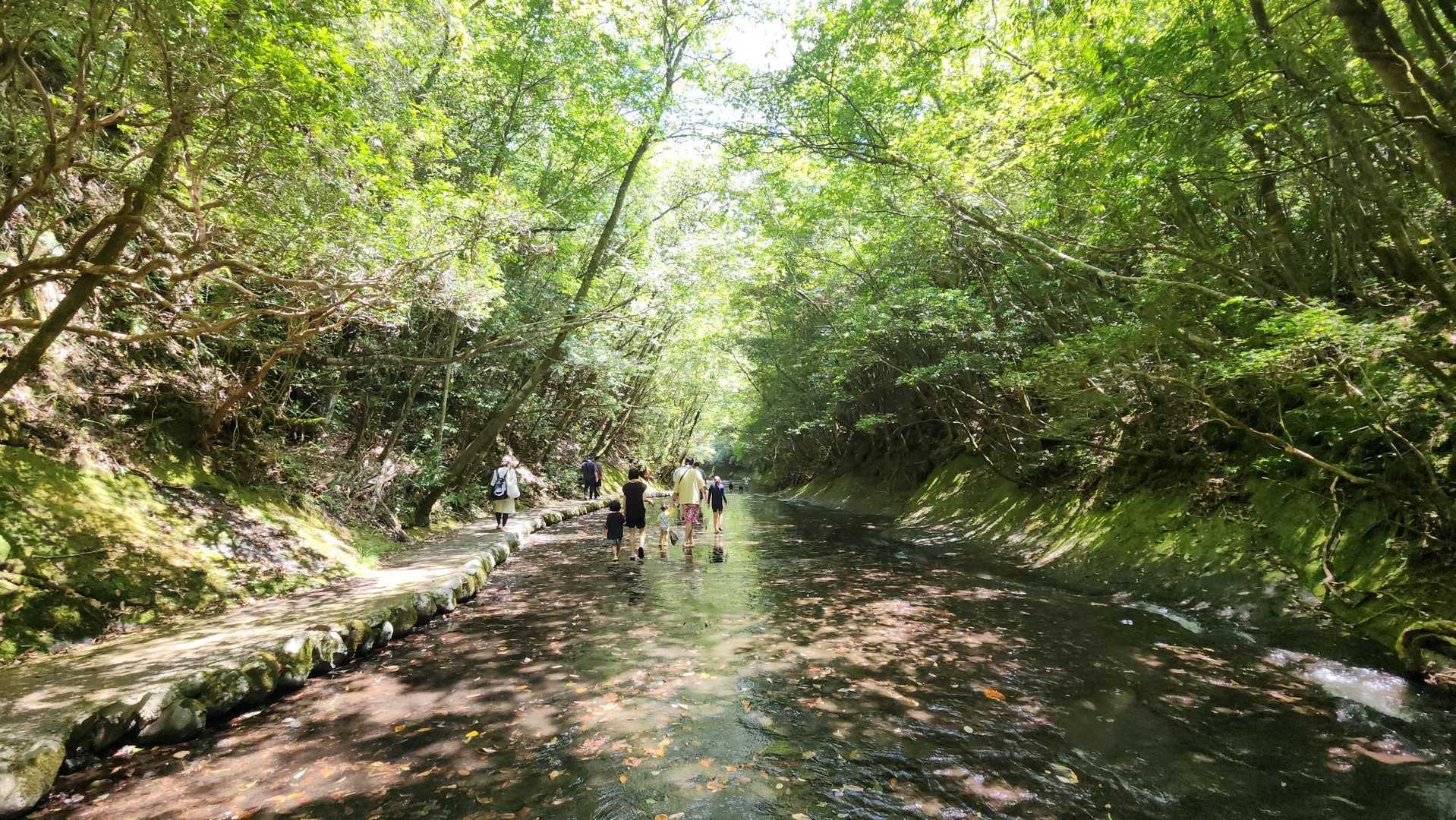 【岳切渓谷】一枚岩の川底を素足で歩く水流遊歩道｜大分・宇佐の写真