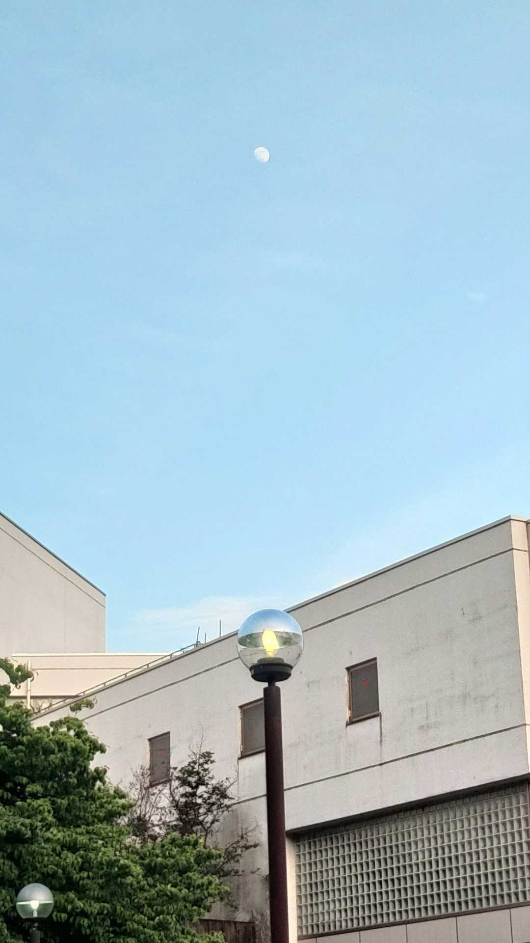 月🌕️が見守ってくれていました