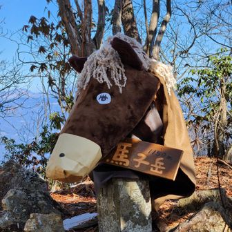 馬頭観音でなく馬頭看板😅
椅子用座布団に封筒を被せた顔
中身は新聞紙📰
材料費は毛糸と茶色のフェルト代220円で済みました✌️