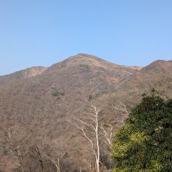 眺望の良いところから竜ケ岳の雄姿が見えます