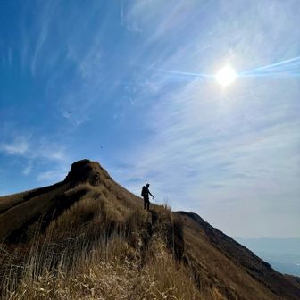 ラクダみたいやん🐪