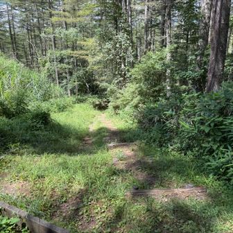 そして再び山道に