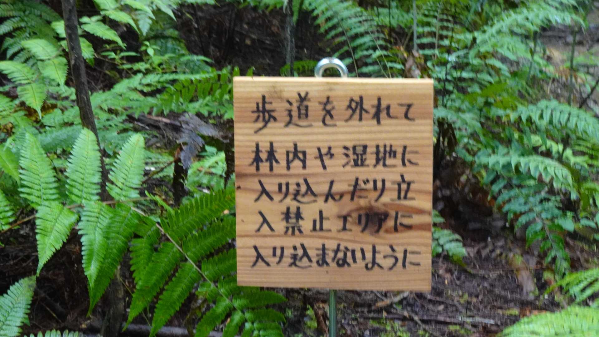 ごもっとも