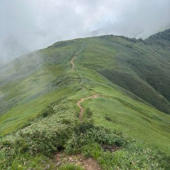 四阿山と雰囲気が似てました