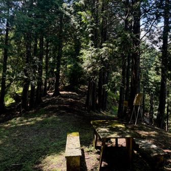 峰坂峠。

光の明暗がイイ感じです。