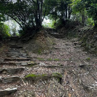 下山開始でちょっとびっくり‼️
このルートで登って来たら
ピーク直前で鎖場だったのね…