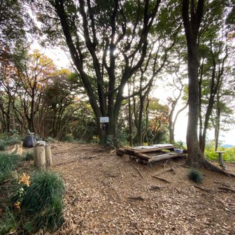 まずは明星山　こんな感じ