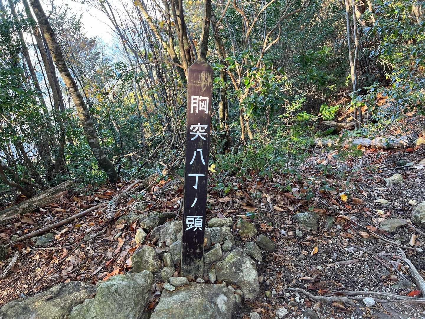 胸突八丁ひーはー

カシラまで登ってきました。