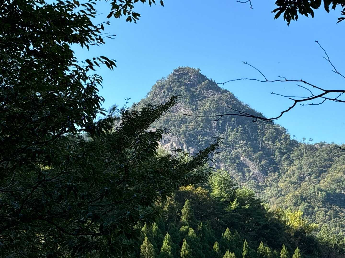 丹助岳って、こんなに尖ってたの⁉️